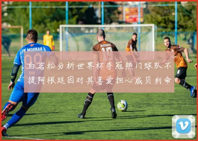 白岩松分析世界杯夺冠热门球队不提阿根廷因对其喜爱担心成贝利命运